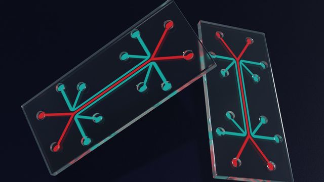 Two microfluidic chips 