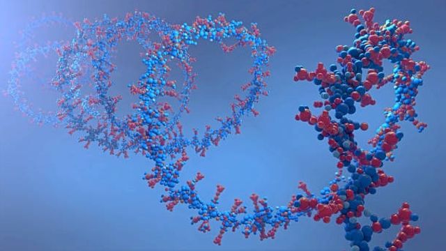 A Highly Sensitive Solution for the Quantification of Cyclic Peptides 