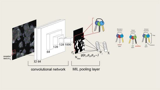 An Automated Deep-learning Workflow for HCS content piece image 