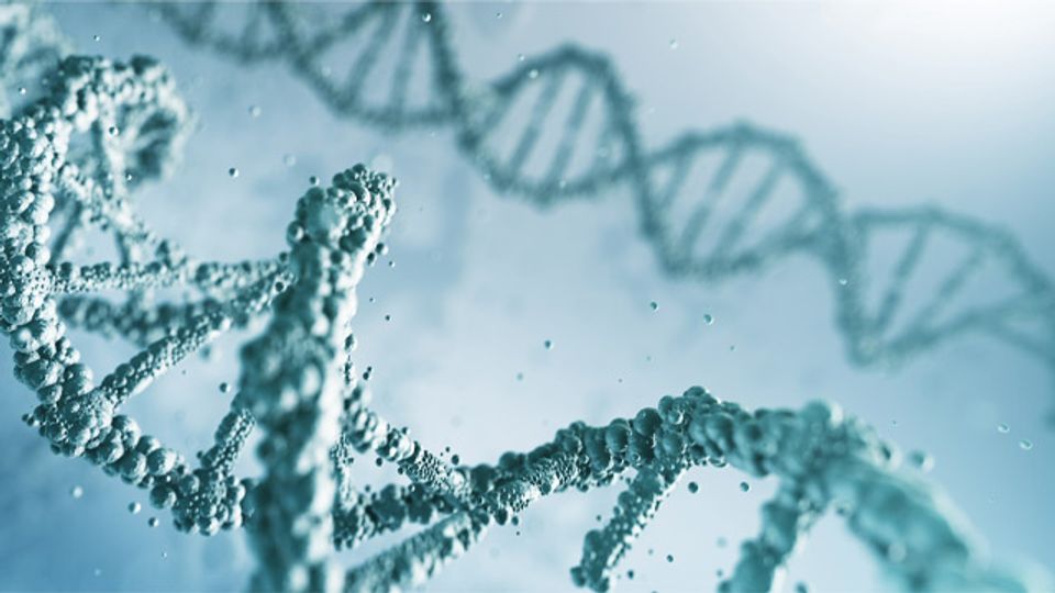 Applications of Whole Exome Sequencing content piece image