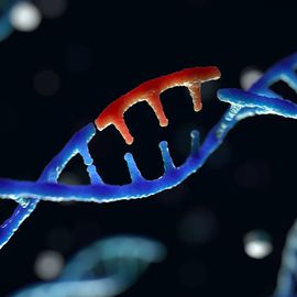 CRISPR and Genome Editing