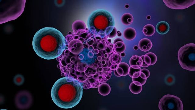 Driving Immunotherapy Development with Metabolic Analysis 