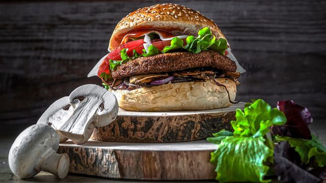 An alternative protein burger. 