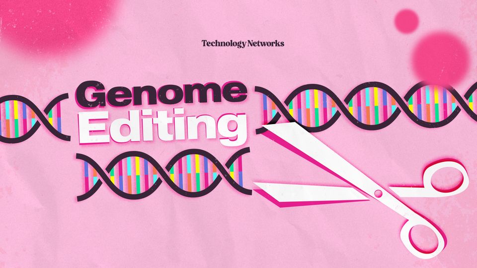 Genome Editing Image