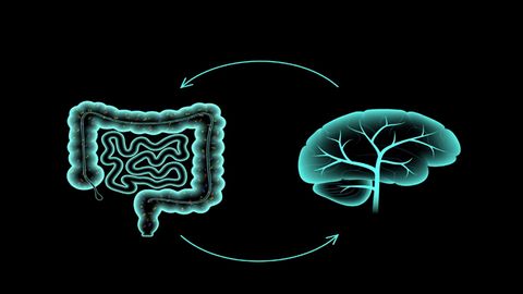 How Does Vagus Nerve Stimulation Impact the Gut–Brain Axis? 
