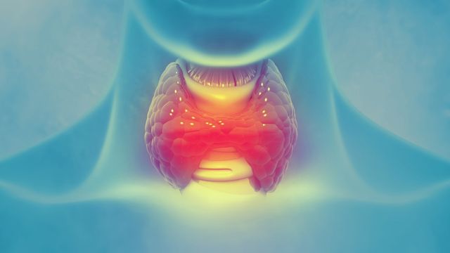 <i>In Vitro</i> Approaches To Risk Assess Chemical-Mediated Changes in Thyroid Function content piece image 