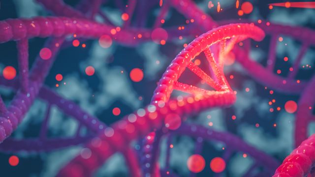 Double helix structure of DNA. 