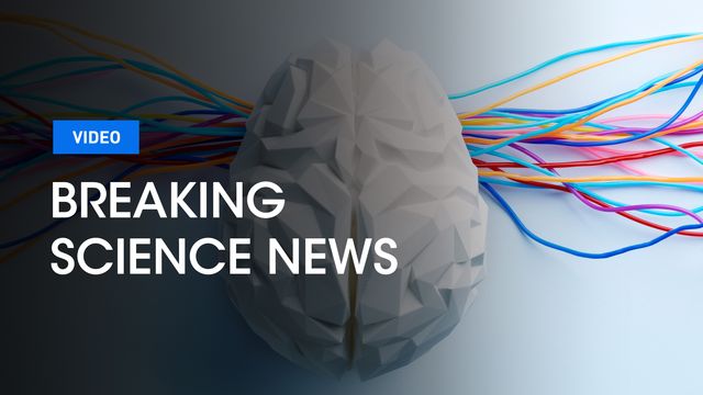 Breaking Science News logo on top of an image of a 3D model of a brain. 