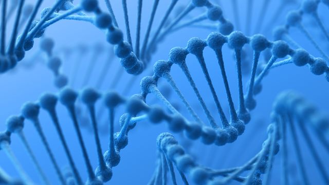 Quantifying Residual DNA in Biotherapeutic Manufacturing 