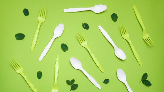 Plastic cutlery sitting on a green background 