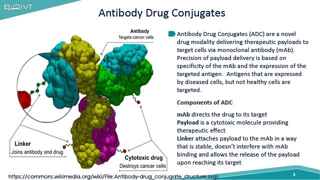 Safety Considerations for the Development of Antibody Drug Conjugates 