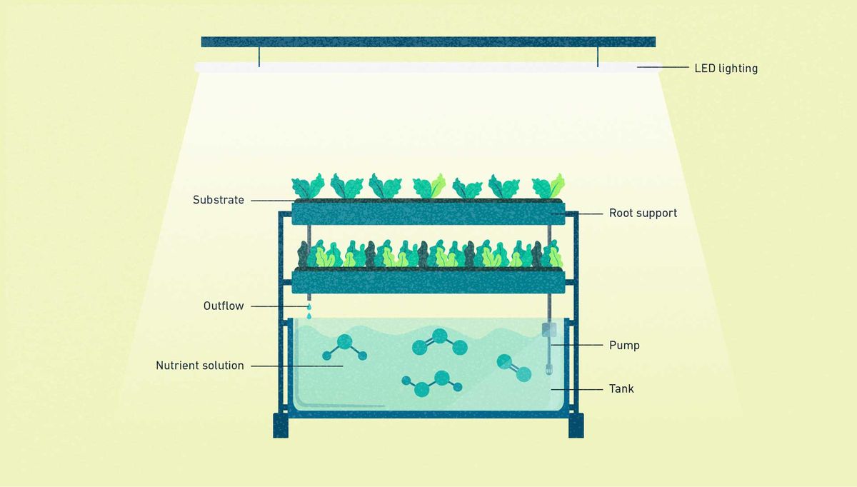 Schematic illustration of a hydroponic growing system that employs the nutrient film technique method, with the main components indicated.