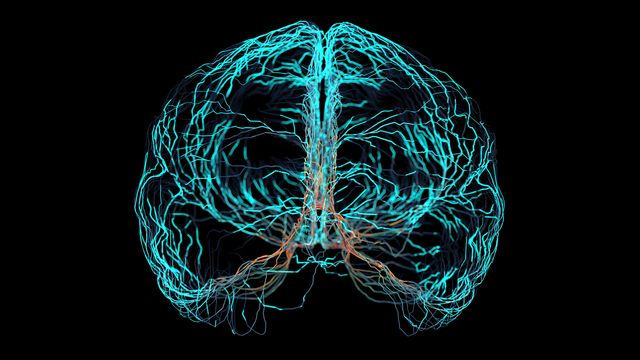 Turquoise and orange electric signals making up a human brain. 