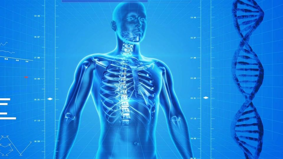 Blue representation of a male human showing ribcage and spine next to a DNA double helix.