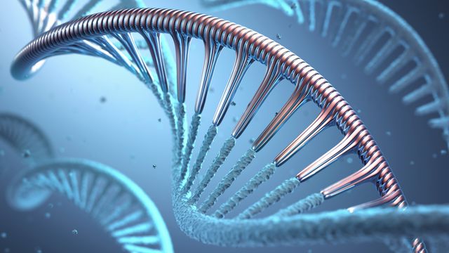 Double helix structure of DNA. 