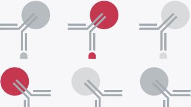 Streamline Antibody Labeling Workflows content piece image 