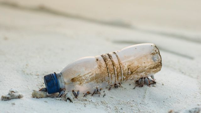 Plastic bottle on a beach. 