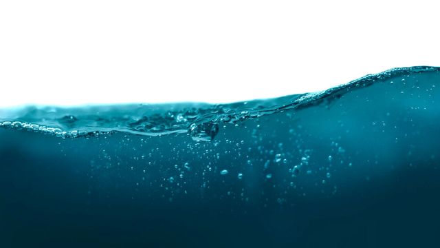 Water in a tank. Small bubbles float to the surface. 