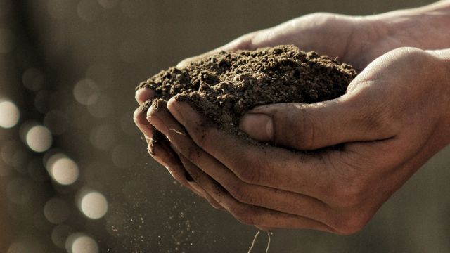 Soil held in cupped hands. 