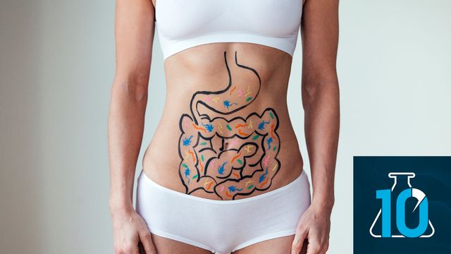 A person standing with a cartoon of an intestines with bacteria on their stomach. 